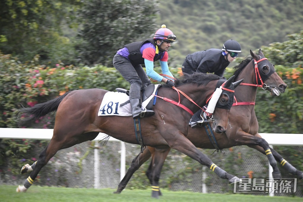 「逍遙騎士」步挺開揚，馬身札實已在勇境。