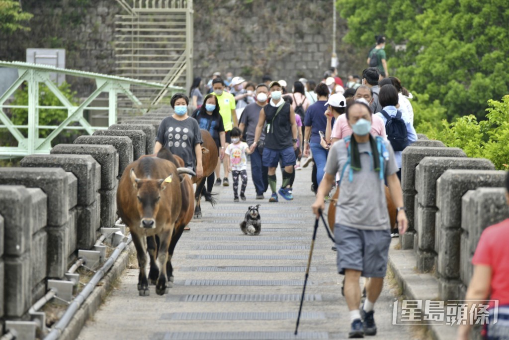 基站建成後，主要行山徑覆蓋率更可達95%以上。資料圖片