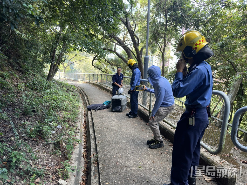 愛護動物協會到場跟進。梁國峰攝 愛護動物協會到場跟進。梁國峰攝