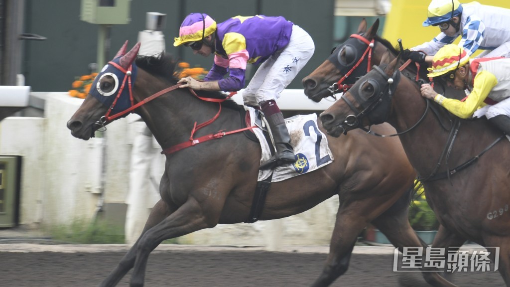「大眾勝利」今次跑泥地短途賽,有望直路上再次應後勁走入三甲。 「大眾勝利」今次跑泥地短途賽,有望直路上再次應後勁走入三甲。