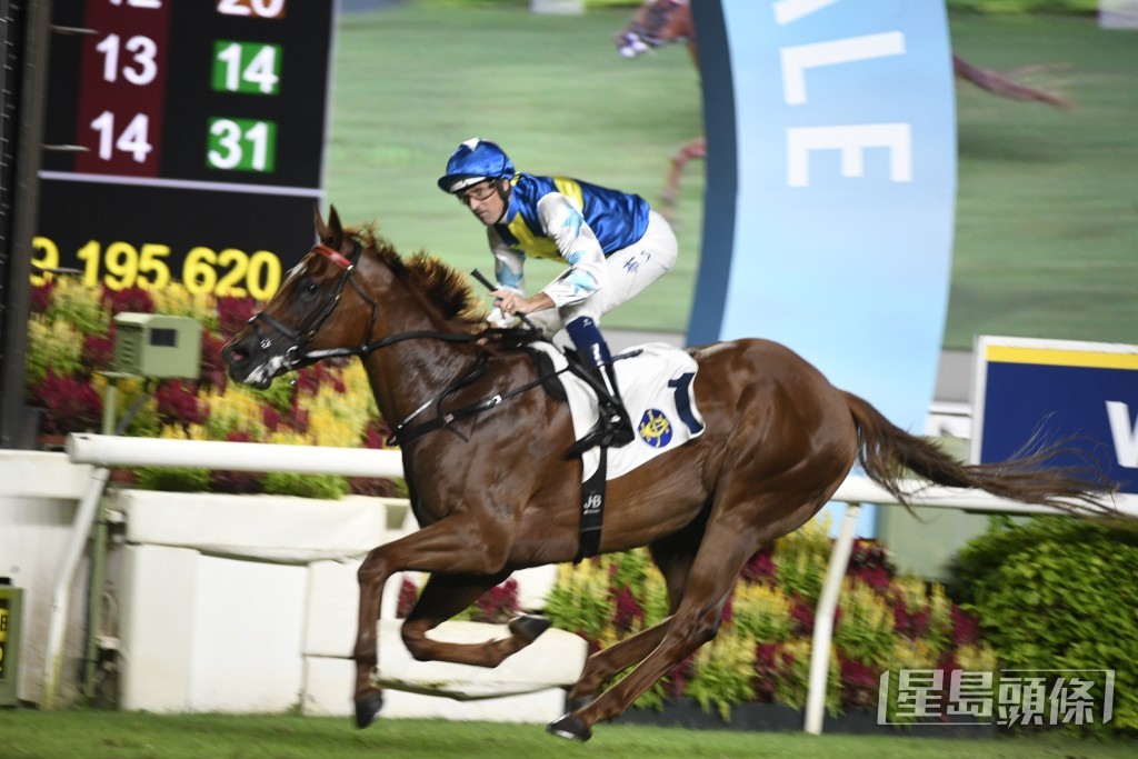 「手機錶霸」在拍賣會以八百六十萬元成交。