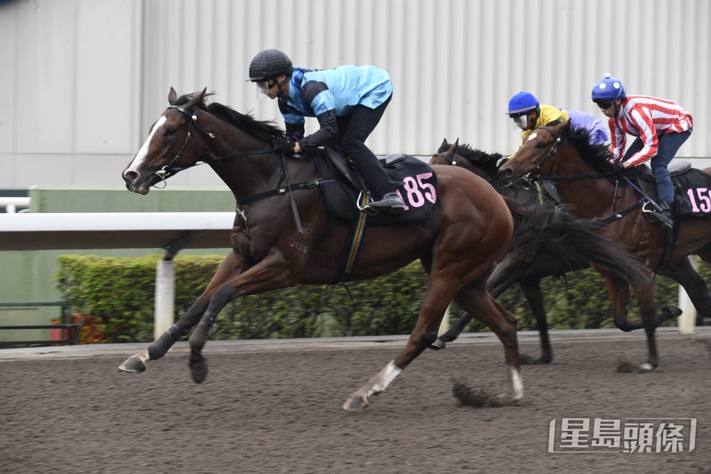 「同祥和順」明日再戰贏馬路程，只要臨場跑出水準，有機會贏得今季第三場頭馬。