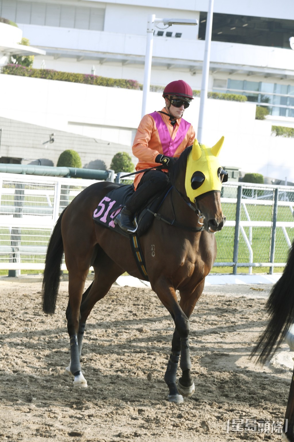 「勁沙塵」今仗有力爭勝。