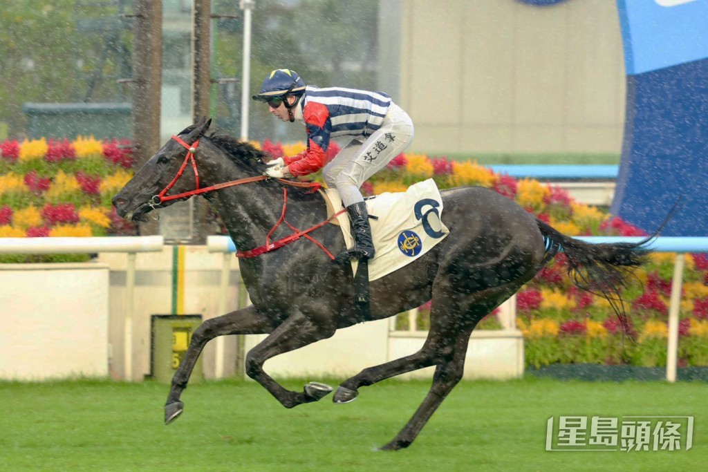 「辣得准」季内初出即击败「表之极光」和「白鹭金刚」赢马。 「辣得准」季内初出即击败「表之极光」和「白鹭金刚」赢马。