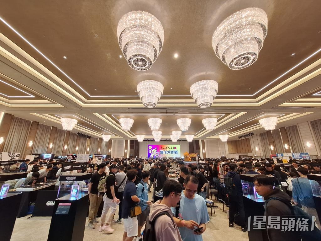 近年本地卡牌文化漸趨盛行。 近年本地卡牌文化漸趨盛行。