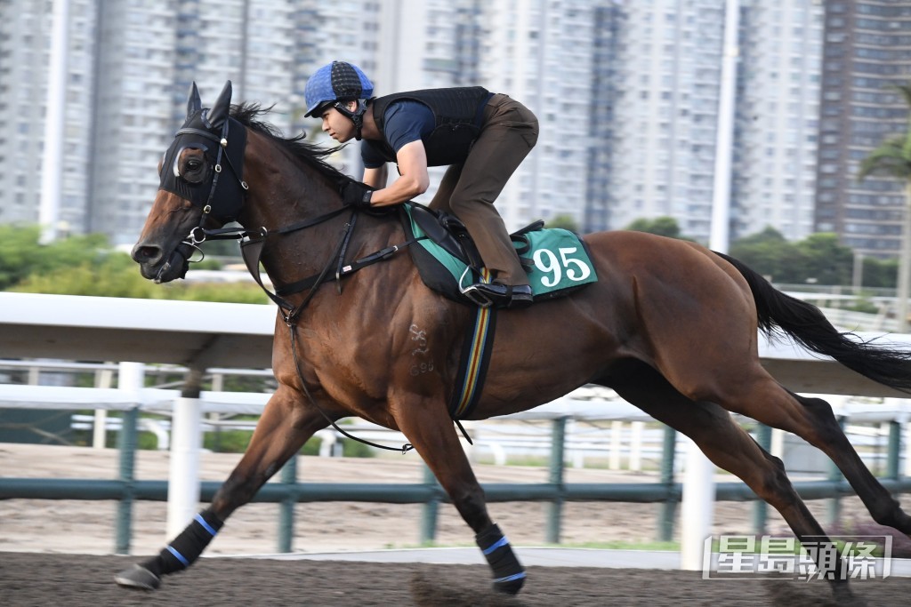 「駟跑得」神態生猛力度充沛，末段衝刺愈走愈勁。