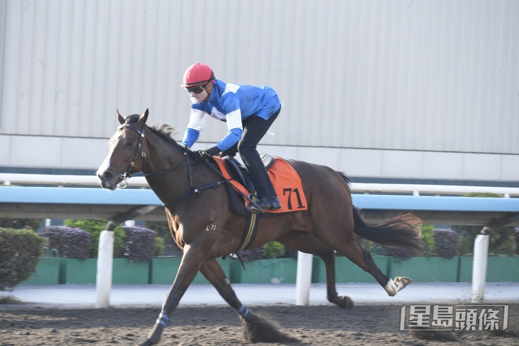 「幸運奇兵」上仗初出田草千二米後上跑獲亞軍。