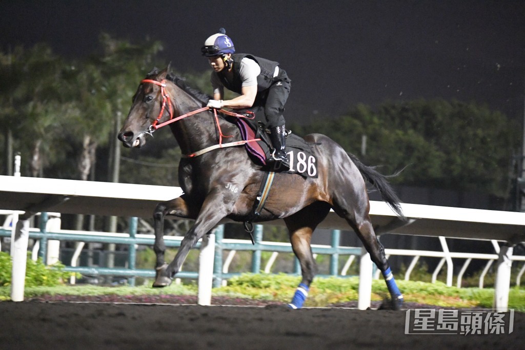  「星際快車」火氣旺盛神態生猛，勇態保持有餘。