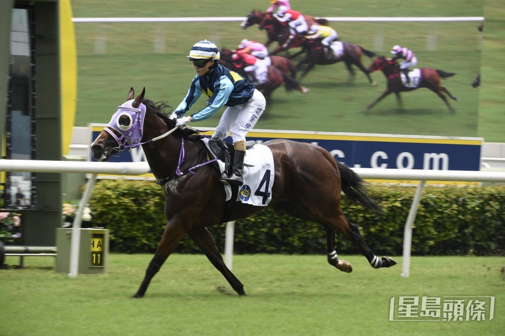 「勇冠群英」已證明四班夠贏有餘，當銳馬值得追捧。