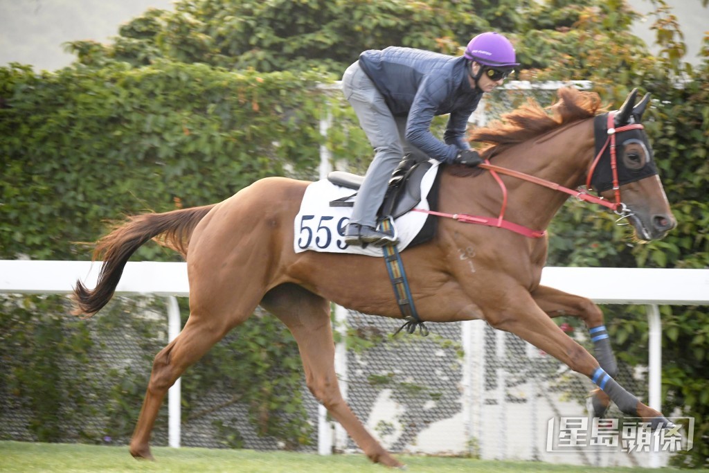 「機械之星」跑姿順暢落腳輕巧，近況弗到痹。