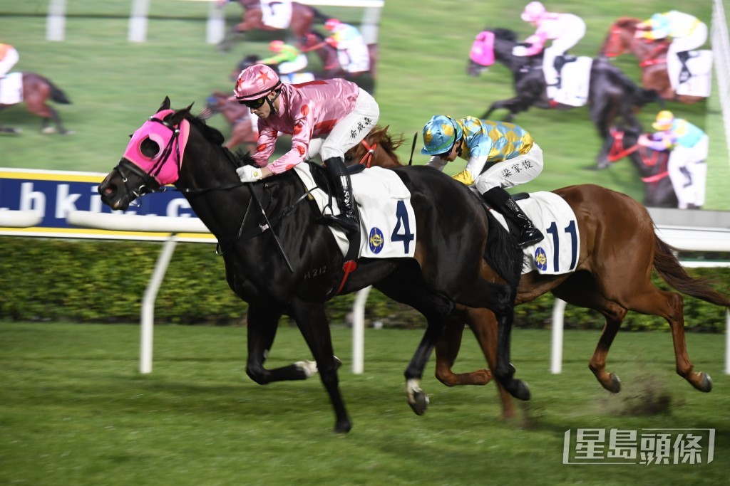 「禅胜辉煌」今仗形势有利，有机会赢马补中，赢得今季第六场头马。