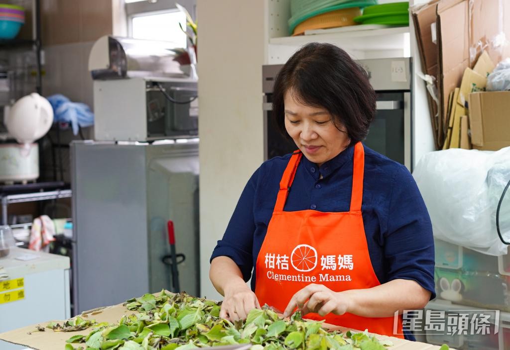 莊寶琼另創立「柑桔媽媽」，協助照顧者重返職場，製作不同天然手工產品。