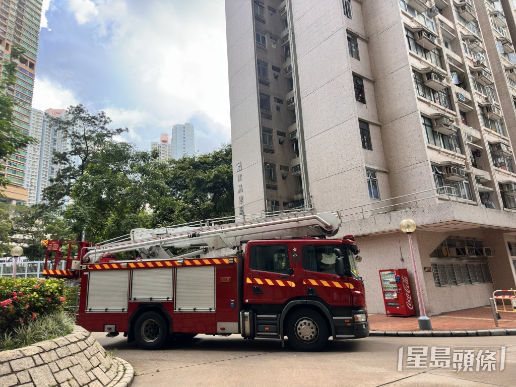 消防到場協助將女子救下。 消防到場協助將女子救下。