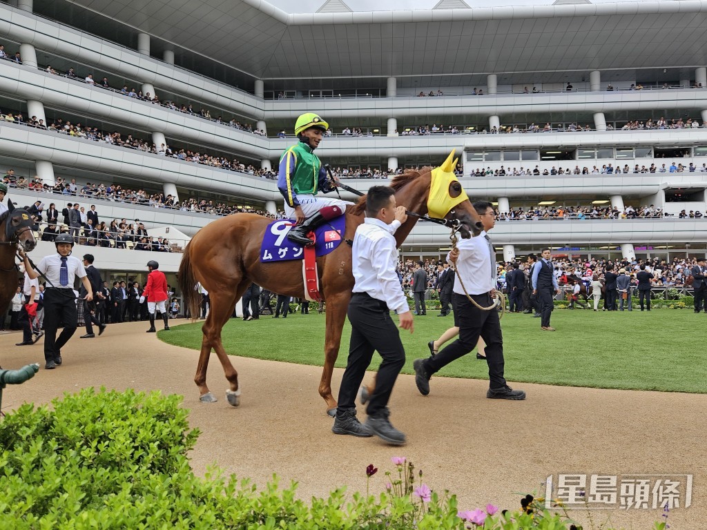 「綠族無限」最終以第十三名過終點。 Mike Lam攝