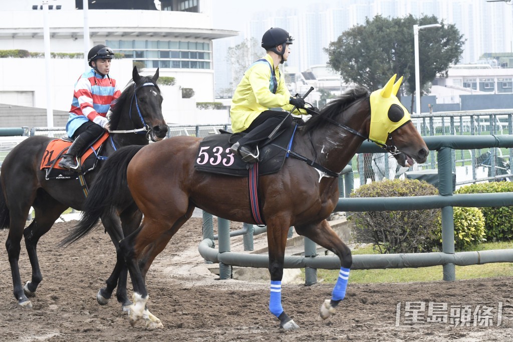 「开心宇宙」步伐稳健力度唔错，状态极之理想。