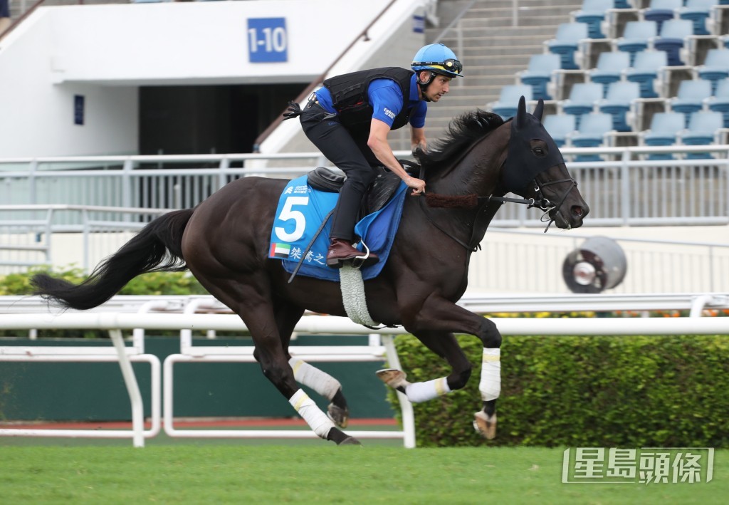 「桀驁之戀」在最新公布的浪琴全球最佳賽駒排行榜上，屬評分第二高的一駒。