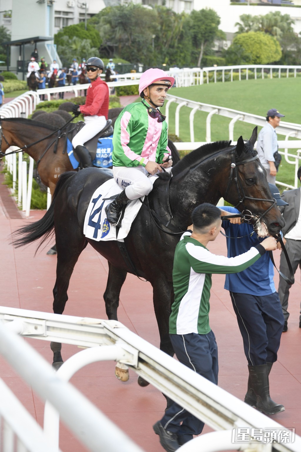 「肯佩斯」周六将列阵第十场三班千四米。