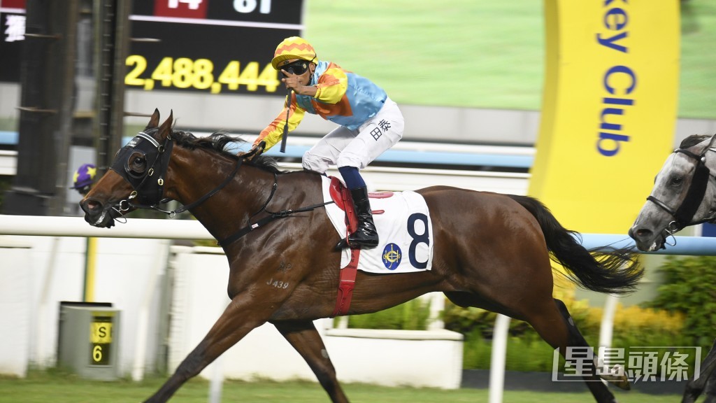 「嘉應駿馬」過去兩季均在田草千二米取得勝利。