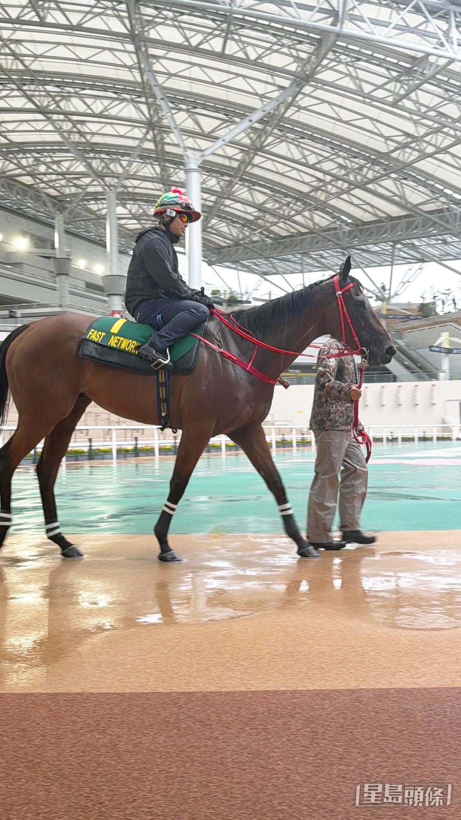 「舉步生風」遊花園熟習環境。 「舉步生風」遊花園熟習環境。
