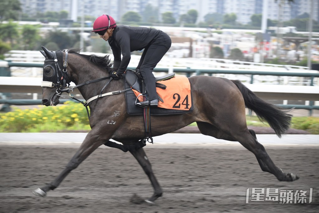 「都靈冠星」力度唔錯步夠熟練，進度理想。