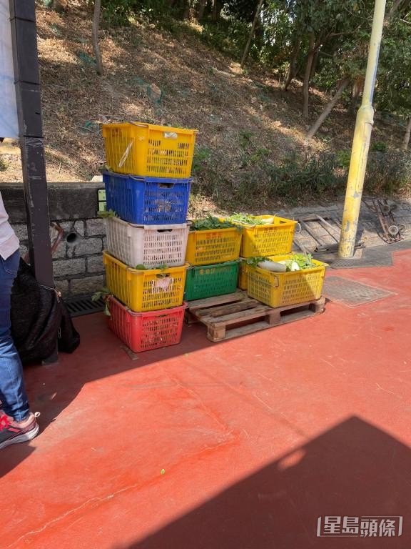 有本地農戶發現，會場空地放置數個街市用於擺放蔬果的可疑膠籃。  受訪者提供