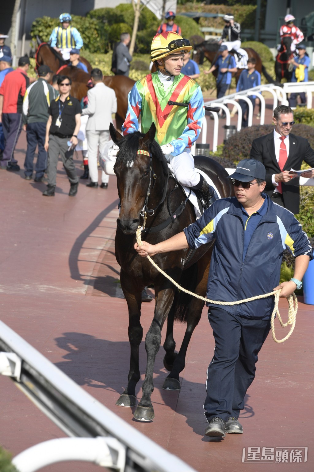 「千杯不醉」剛戰縮程跑千二米跑第二。