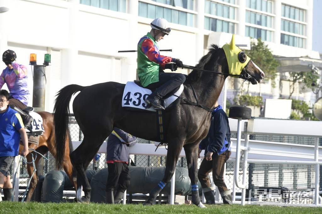 「榮耀掌星」外觀靚到不得了，近況非常出色。