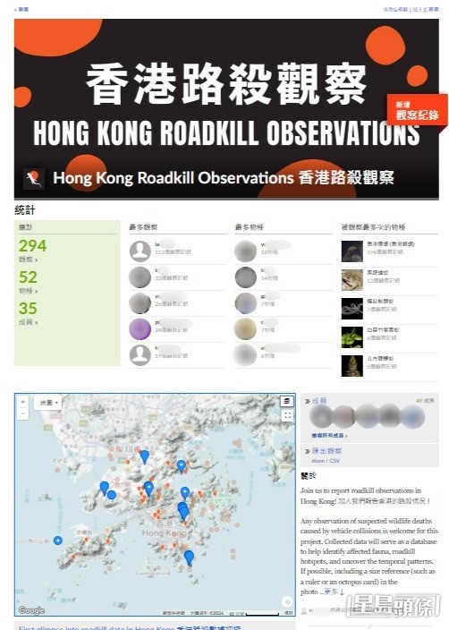  嶺大研究人員上月成立「香港路殺觀察」平台，供市民報告「路殺」事故。