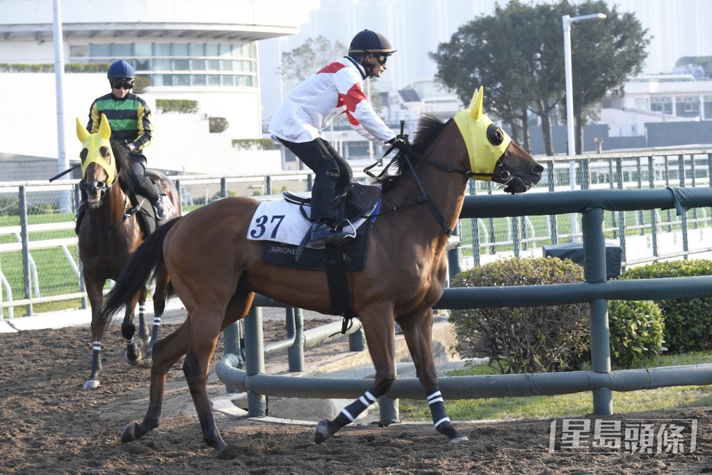 「時時精準」步順爽勁神色暢旺，不遜贏馬時候。