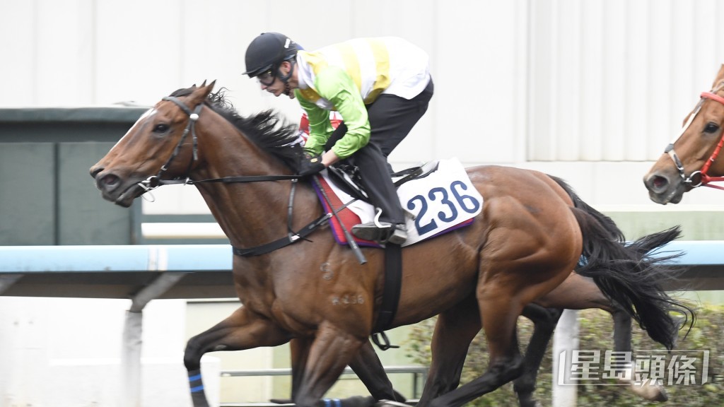 「扶搖勢勁」全程岳高頭走極之神氣，佳態持續。