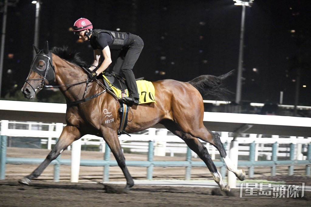 「光年八十」走势硬朗毛色油润，具备争胜水准。