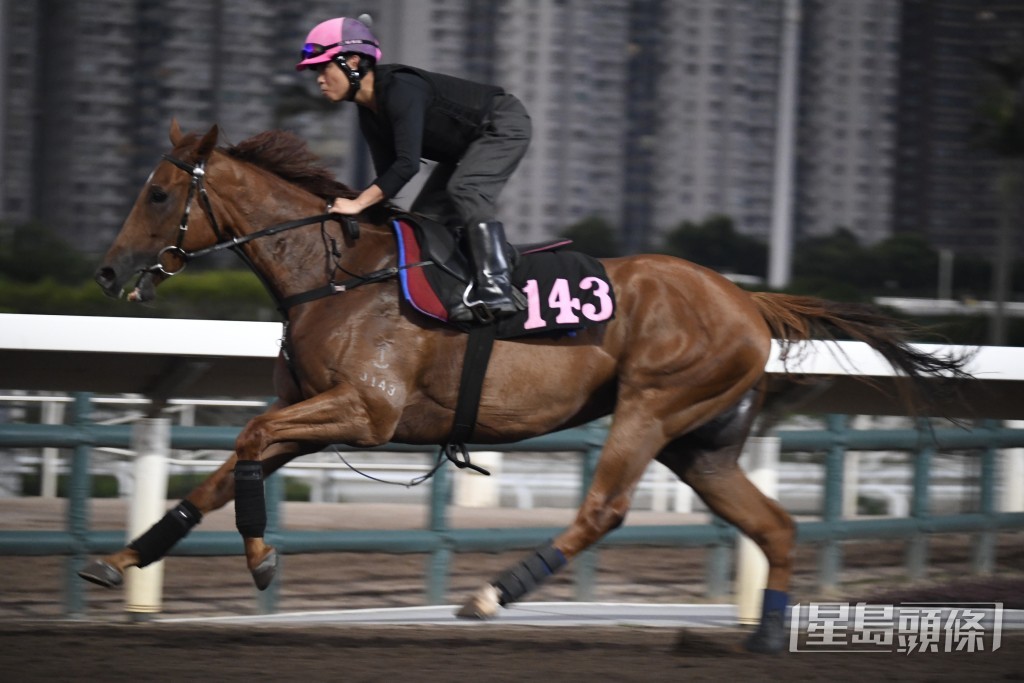 「日馳千里」出腳步挺貫注力足，神態集中，確認踏上正軌。