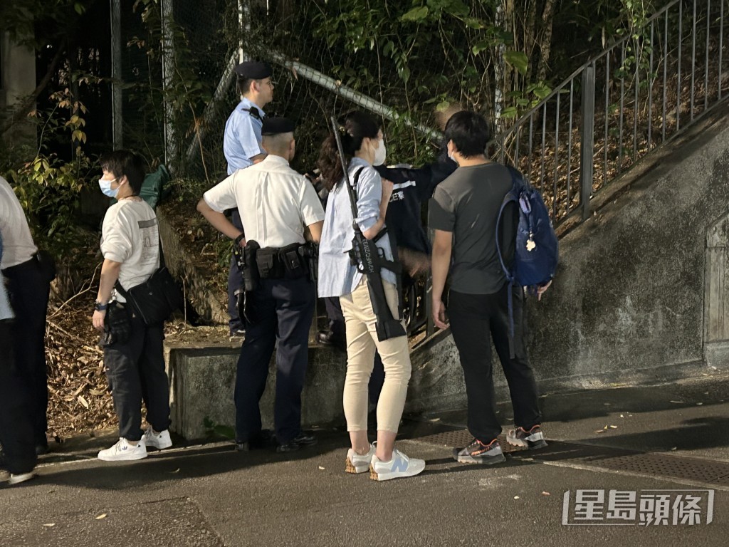 持麻醉槍獸醫搜索野豬蹤影。