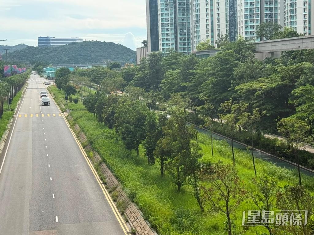 葉培基指出,在雨季過後,野草生長迅速,但承辦商修建情況不太理想。 受訪者提供 葉培基指出,在雨季過後,野草生長迅速,但承辦商修建情況不太理想。 受訪者提供