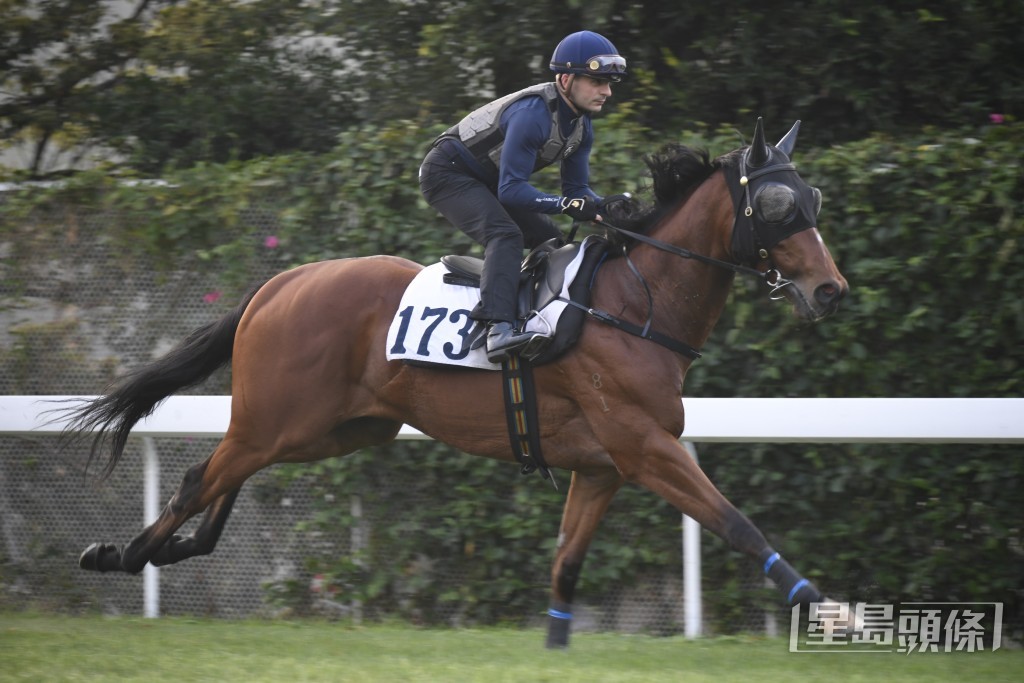 「翠紅」戴眼罩及頭罩由艾兆禮草閘跳兩段，暗火湧現躍躍欲試，要緊扣韁繩，神態生猛弗到漏油。