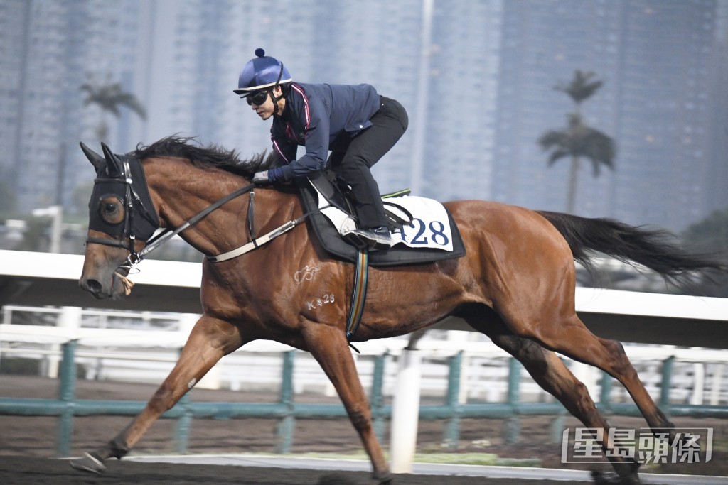  「魅力知耀」力度充足暗火湧現，比起上仗更弗。