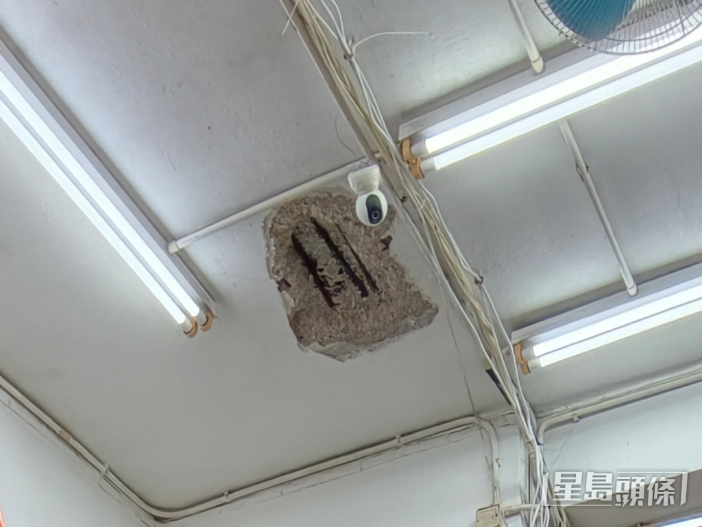破損天花位置同樣鋼筋外露。 破損天花位置同樣鋼筋外露。