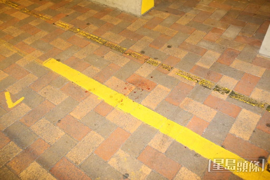 現場地面血跡斑斑。 現場地面血跡斑斑。