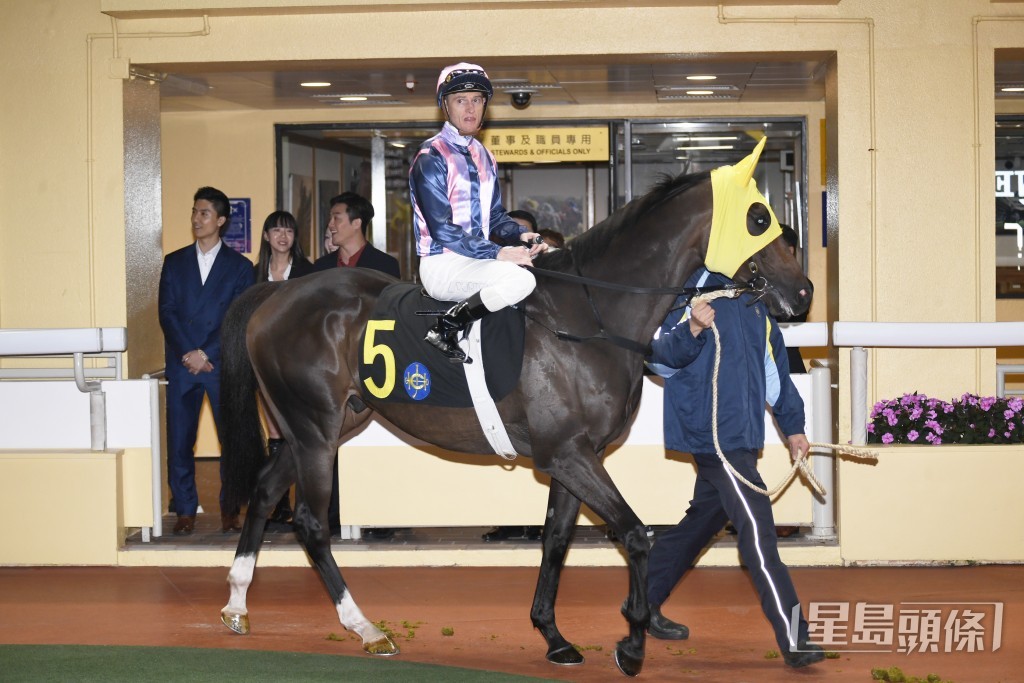 「凝妙星」今次配上届骑师赛冠军巴米高。