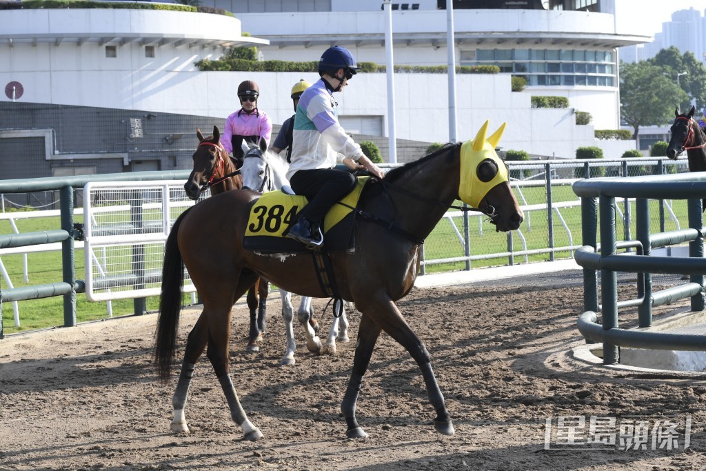 「火神神樂」周三晚復出跑最佳路程，只負一二二磅，有足夠條件爭勝。