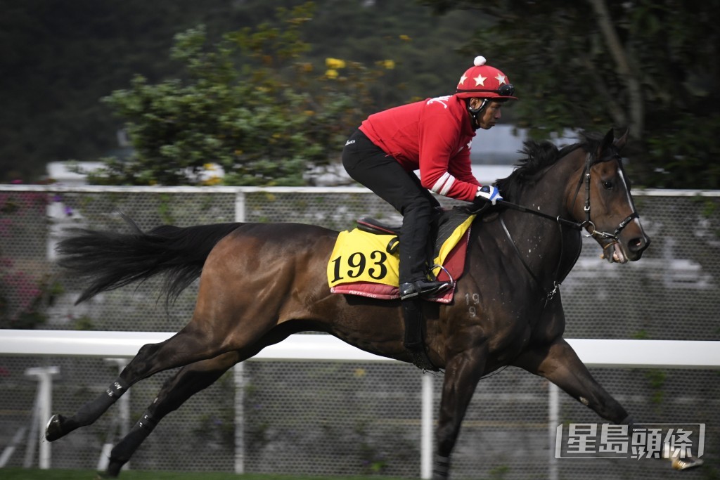 「神速馬車」馬身極壯火氣旺盛。