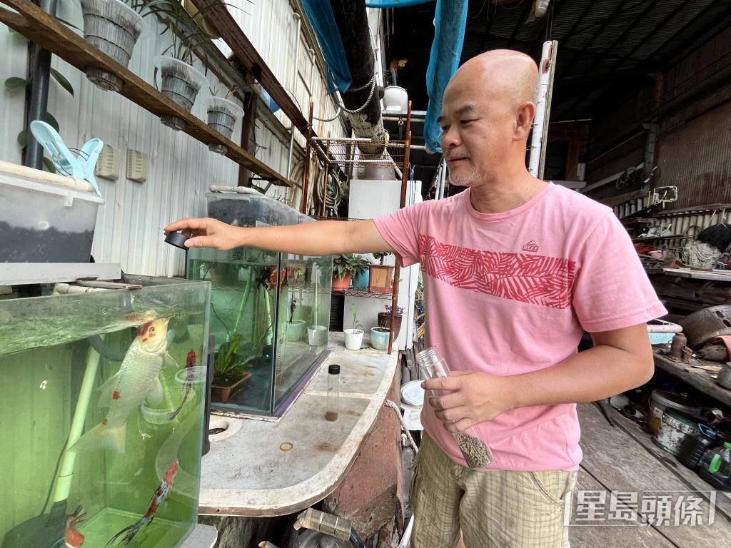 區師傅養有3缸金魚，餵魚是每日指定動作。