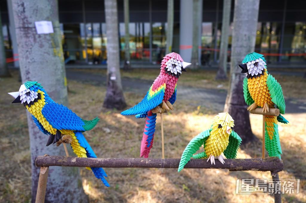 店外展出多隻栩栩如生的紙鸚鵡，是陳先生的得意之作。