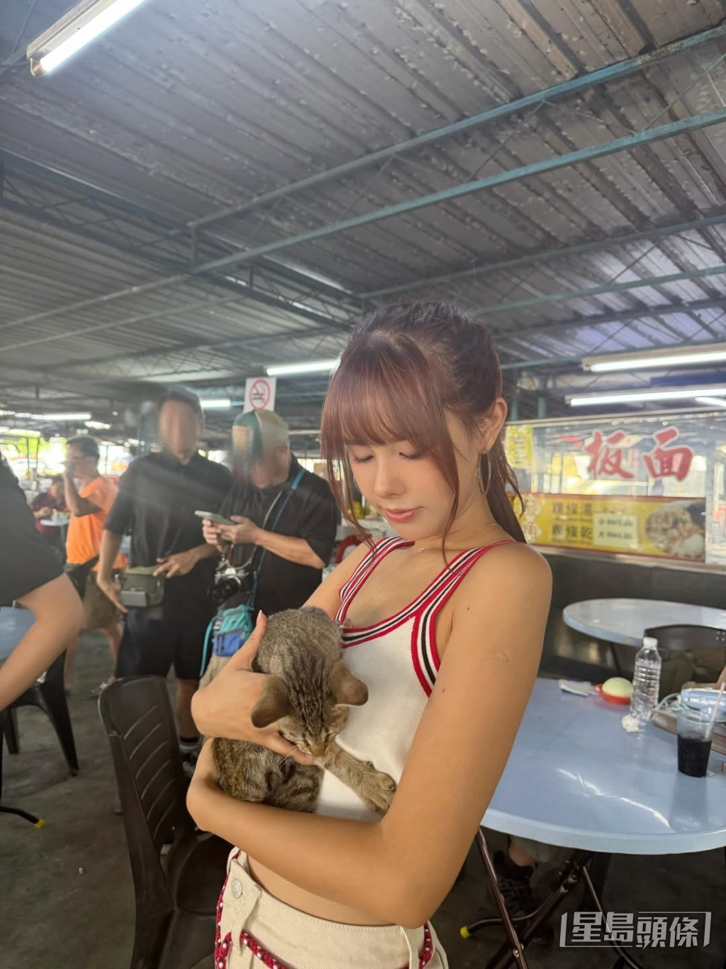 兩人在網上互動玩貓。 兩人在網上互動玩貓。