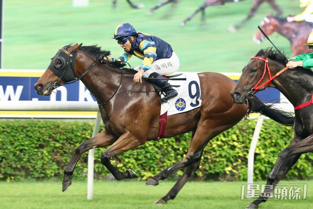 「爱马善」明日将出战第八场泥地三班千二米。