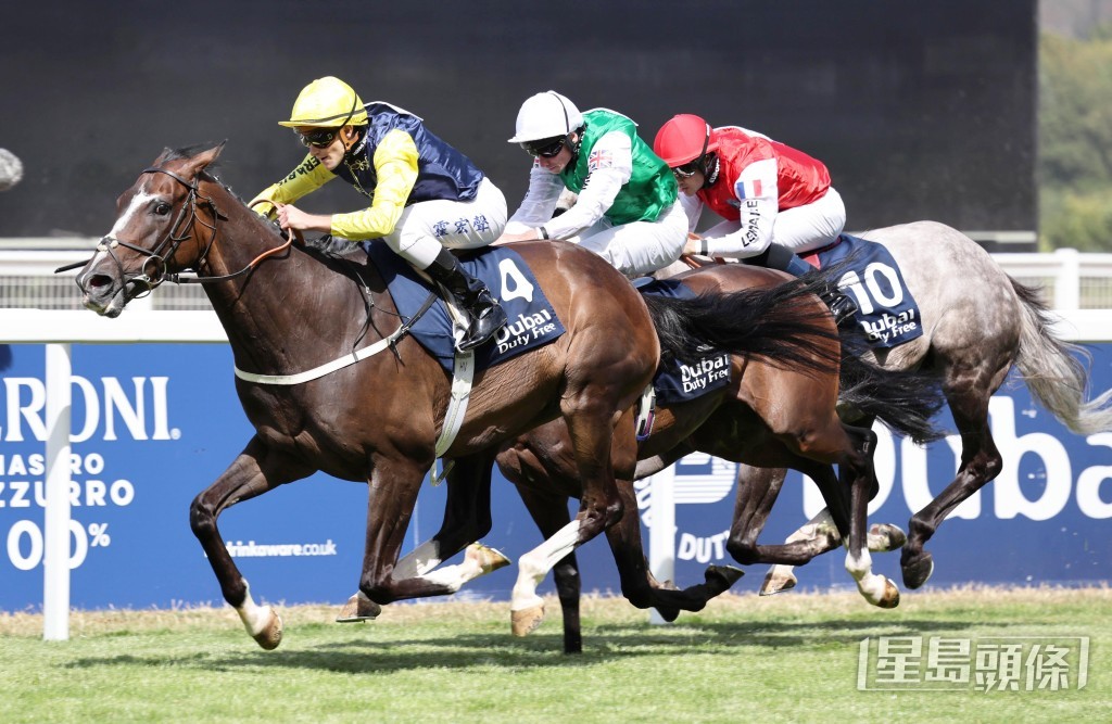 霍宏聲策騎「勁舞巴黎」攻下識價盃長途賽(3190米讓賽)。 霍宏聲策騎「勁舞巴黎」攻下識價盃長途賽(3190米讓賽)。