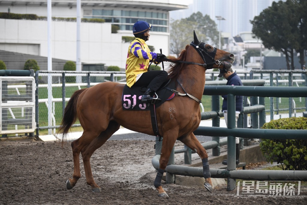 「轻功猛男」胜后更勇誉满栏边。
