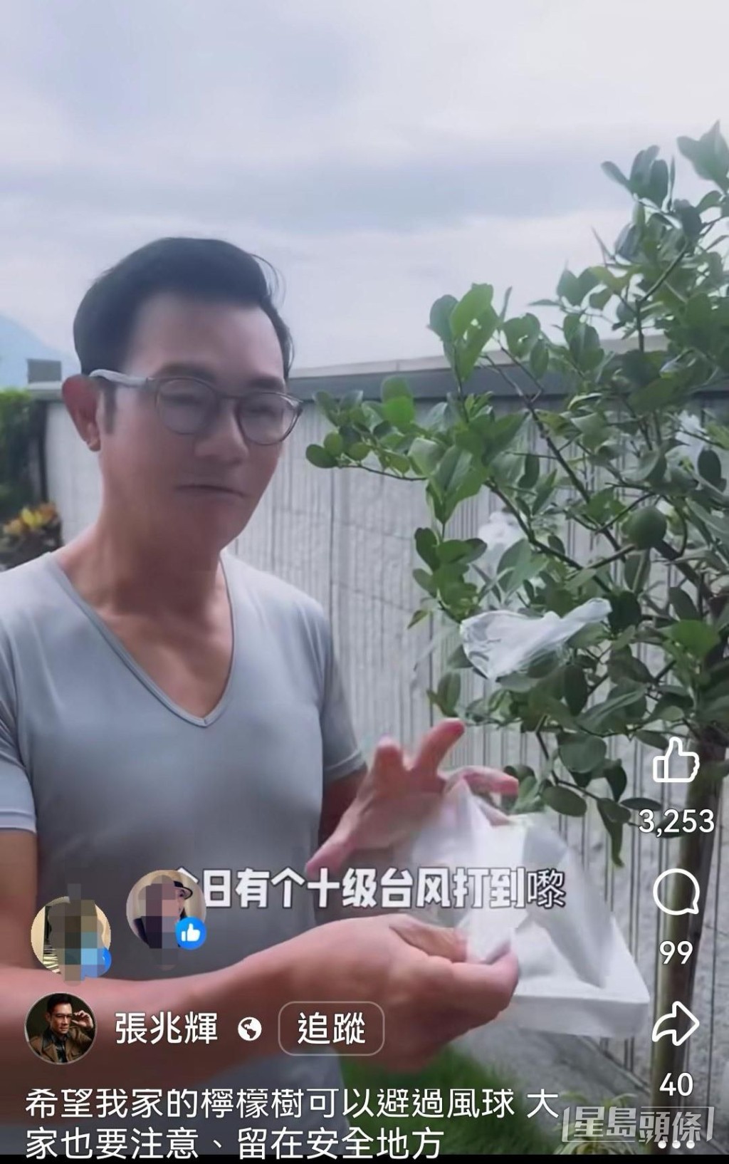 䁔男農夫為檸檬樹穿「膠袋雨衣」。
