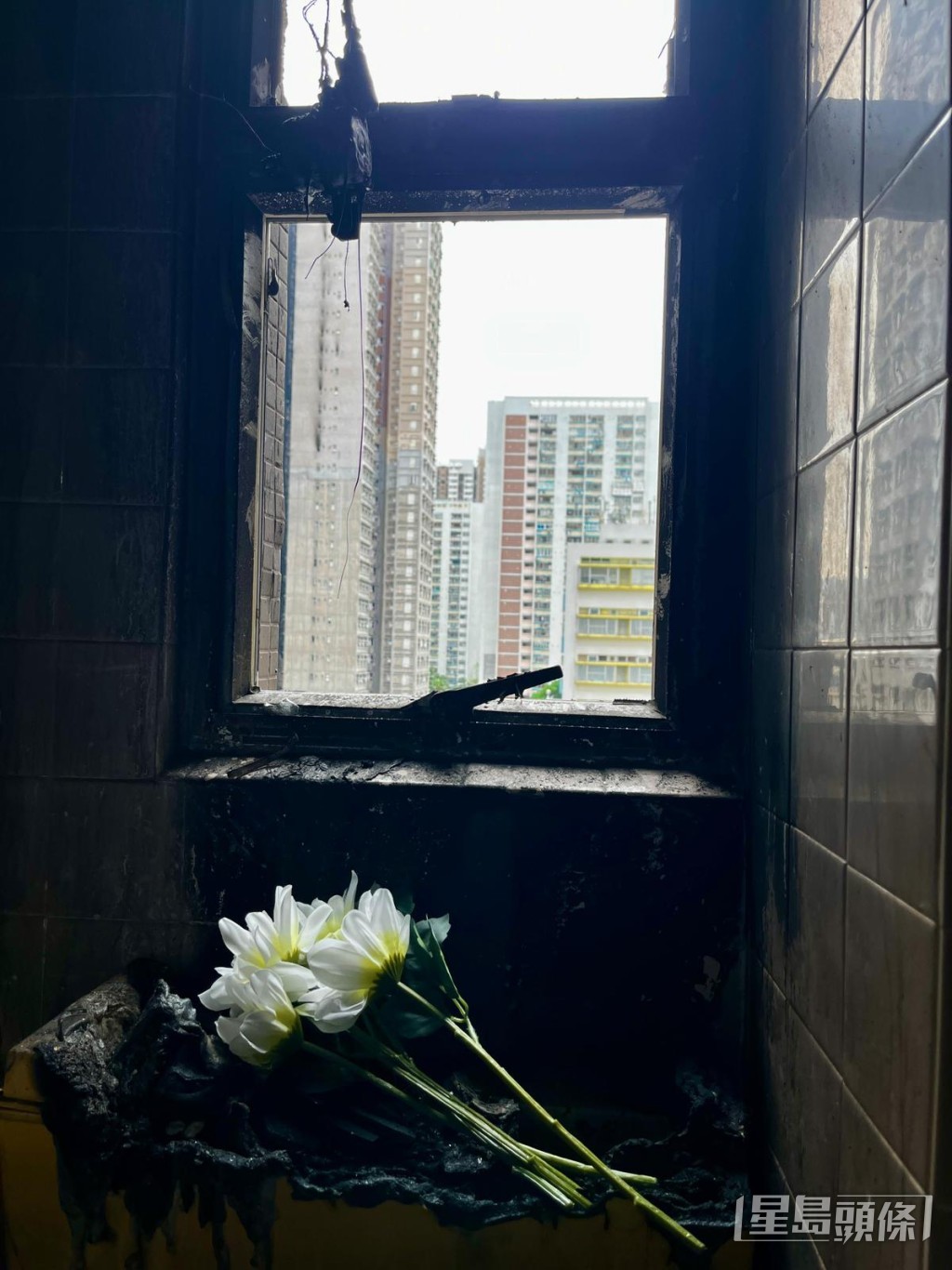 郭先生在廁所窗邊放低悼念的膠花。受訪者提供