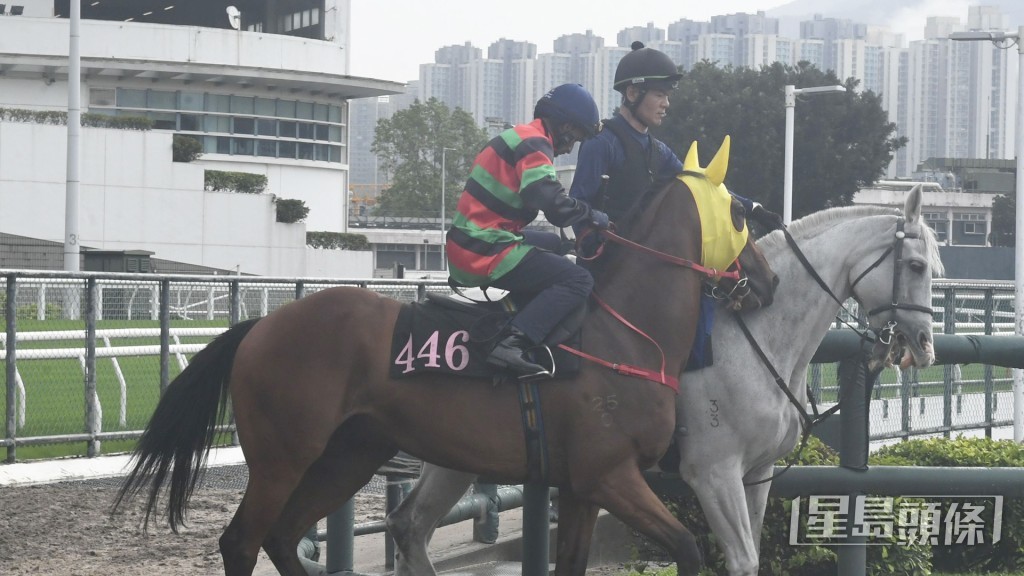 「將義」神生步爽充滿朝氣，外觀靚到無得挑剔。